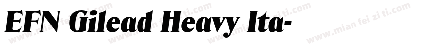 EFN Gilead Heavy Ita字体转换